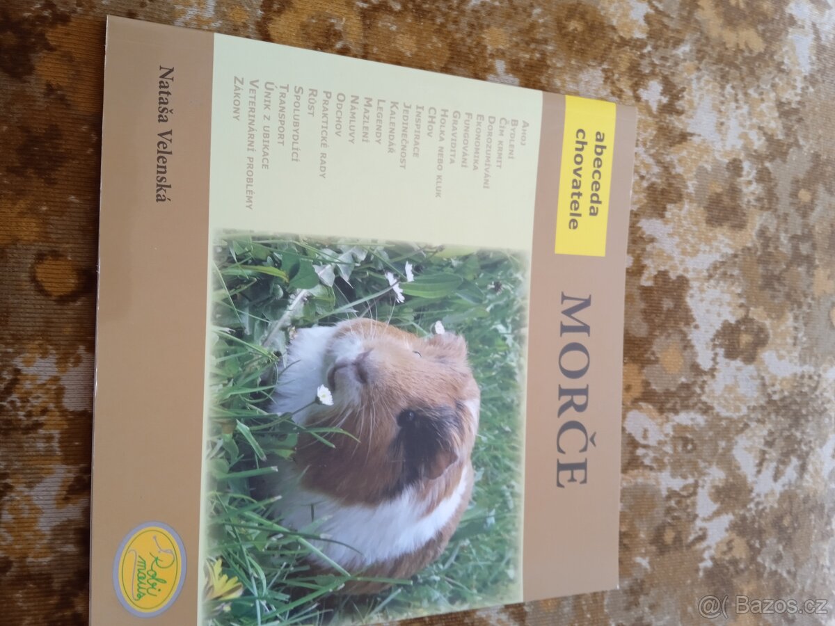 Morče Nataša Velenská