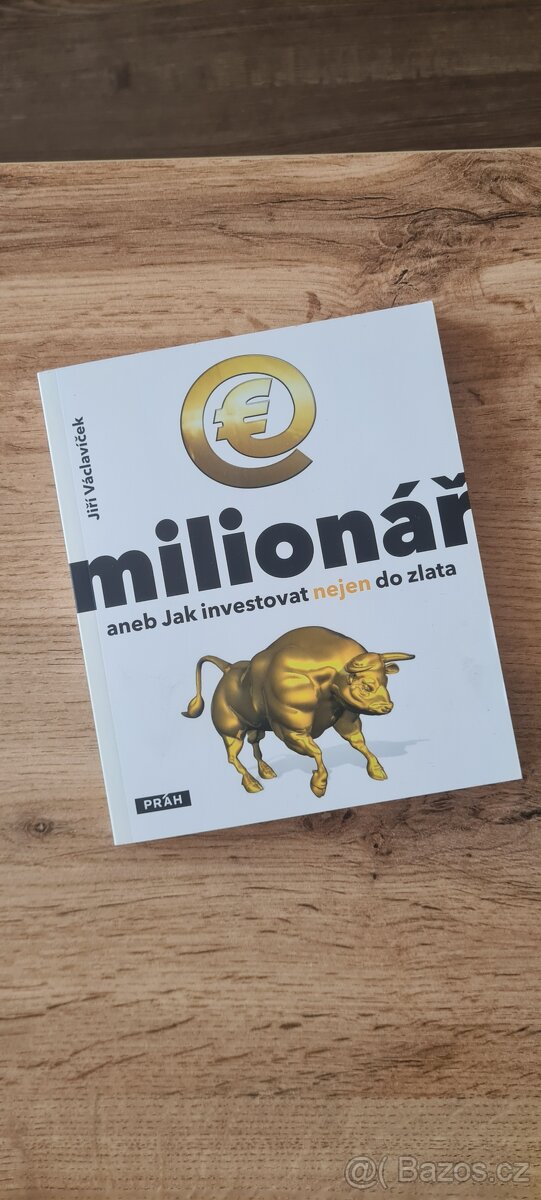 E milionář aneb Jak investovat nejen do zlata