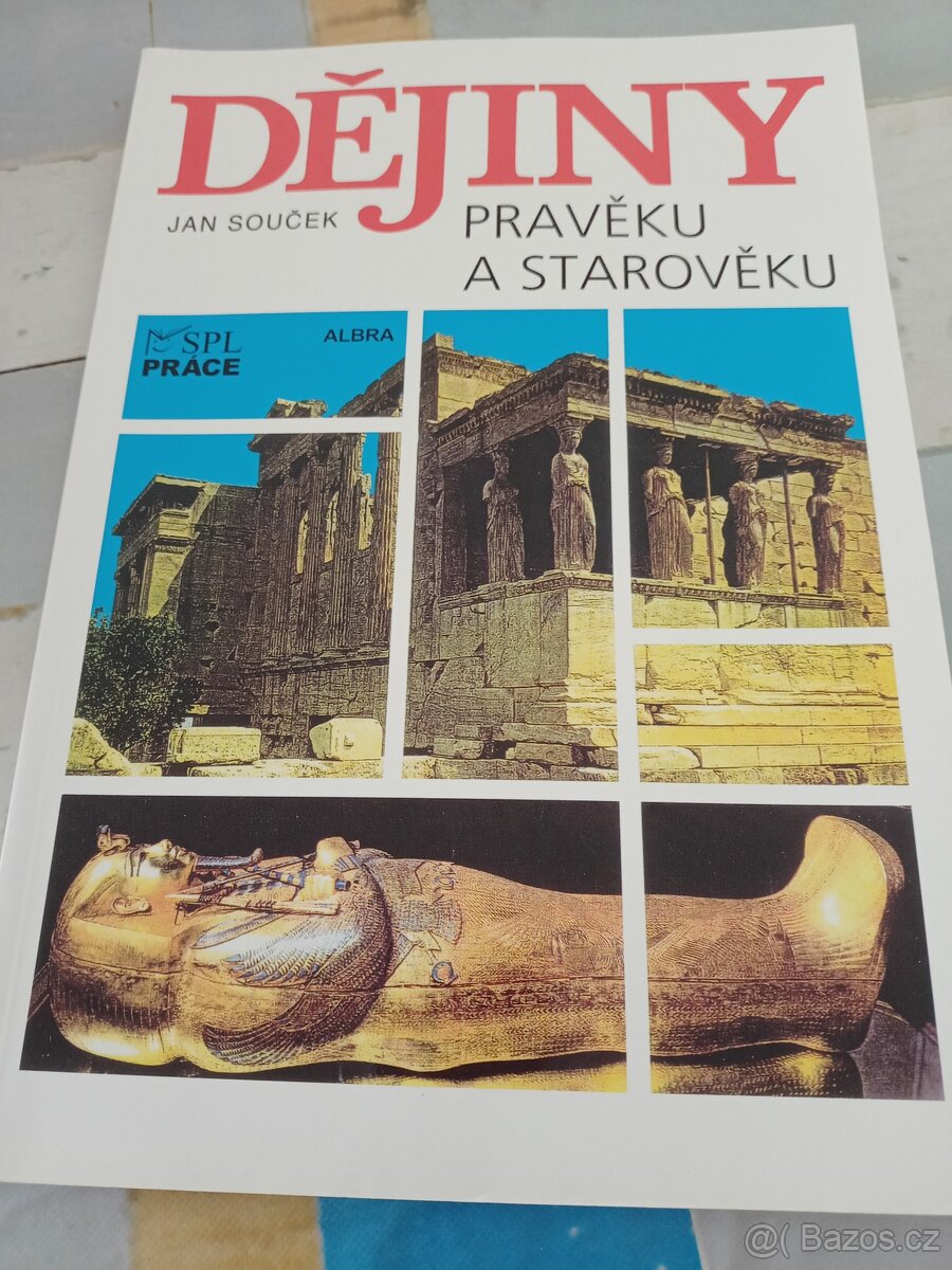 Dejiny pravěku a starověku