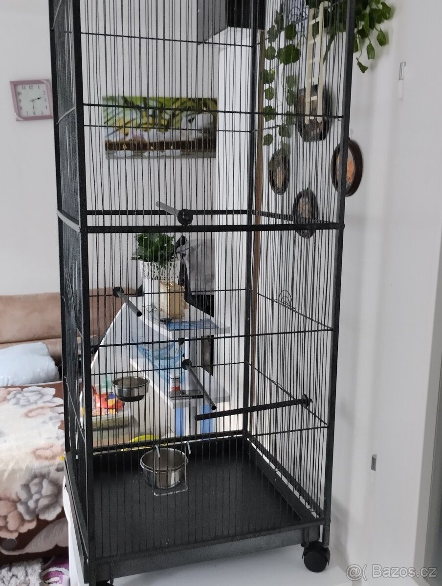 Ptactvo