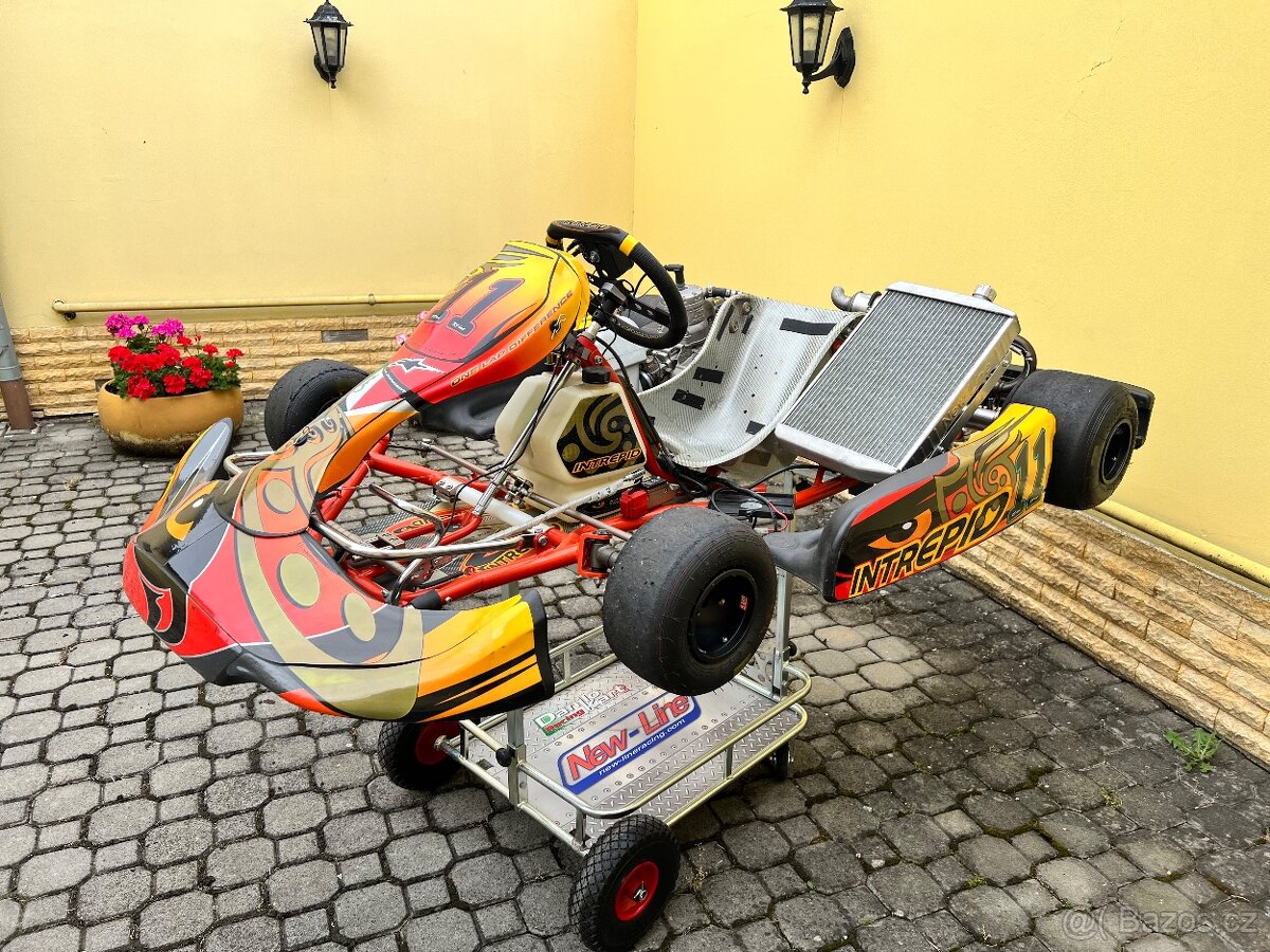Motokára Intrepid KF 3 nebo Rotax Junior
