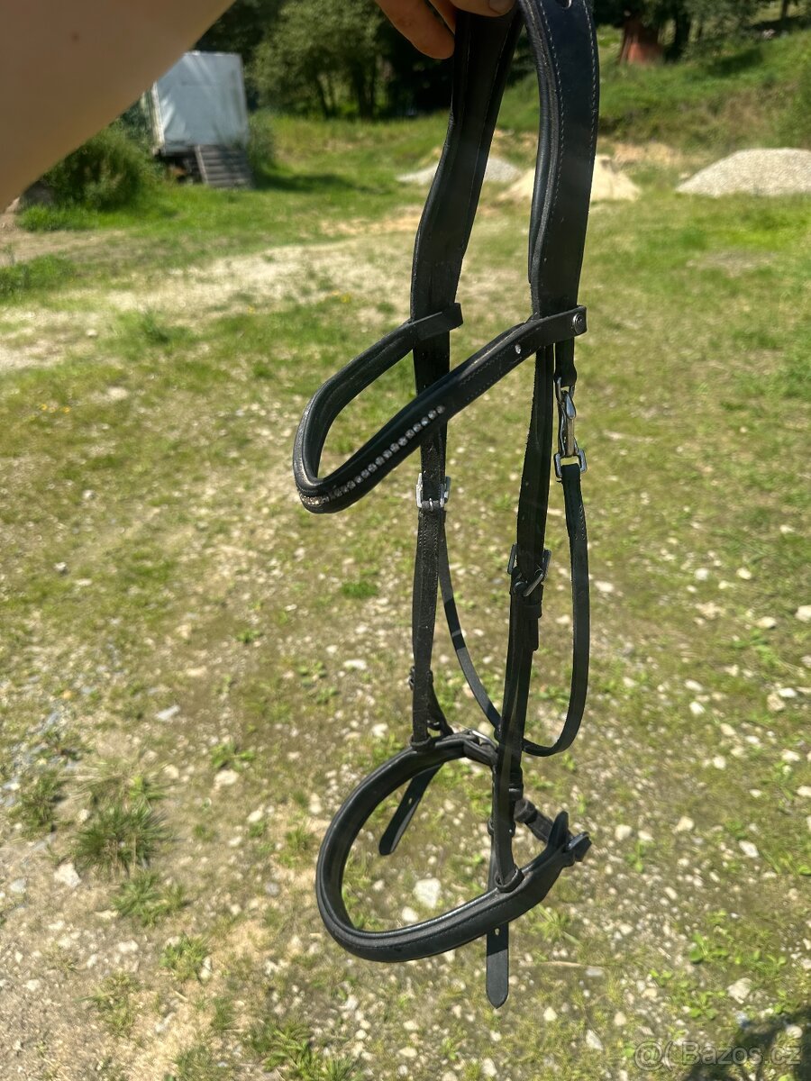 Anglická uzdečka FULL