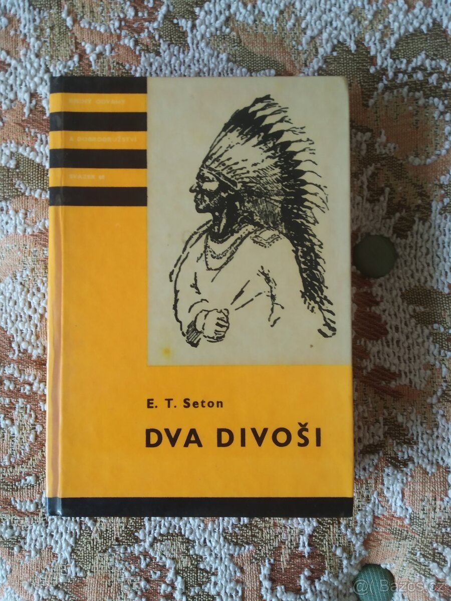 Prodám knihu Dva divoši