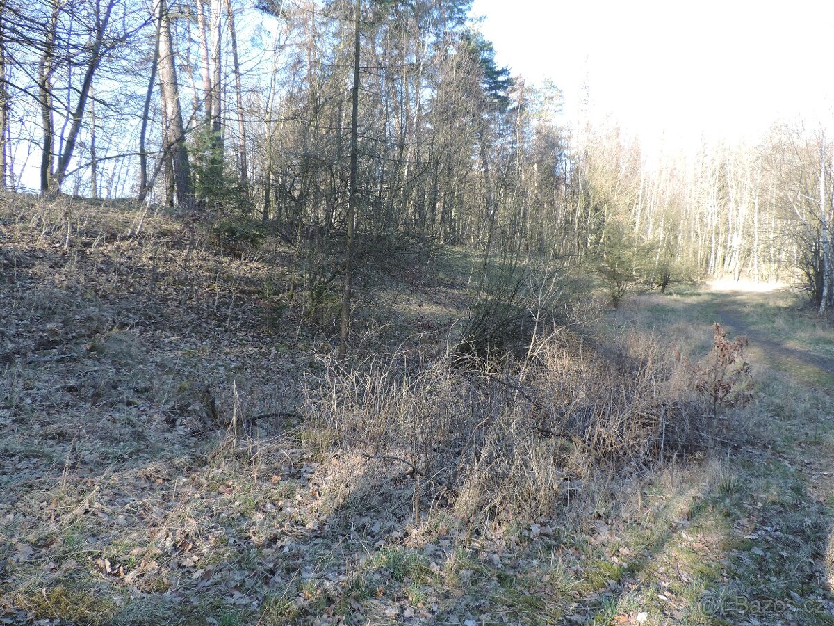 Soubor pozemků v k.ú. Měrunice a v k.ú. Mukov, okr. Teplice