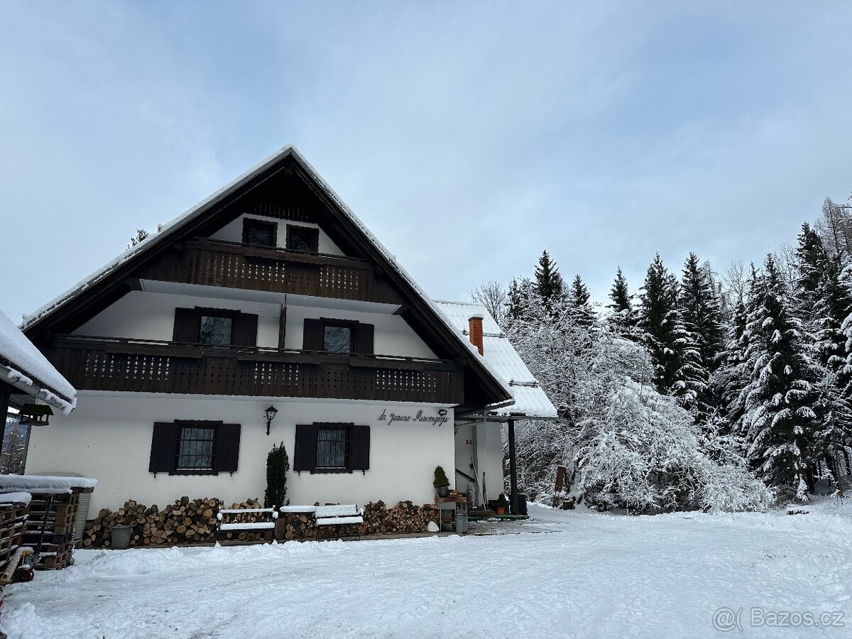 Dovolenka ze psem (alebo bez) v Slovinsku (Bohinj-Bled)
