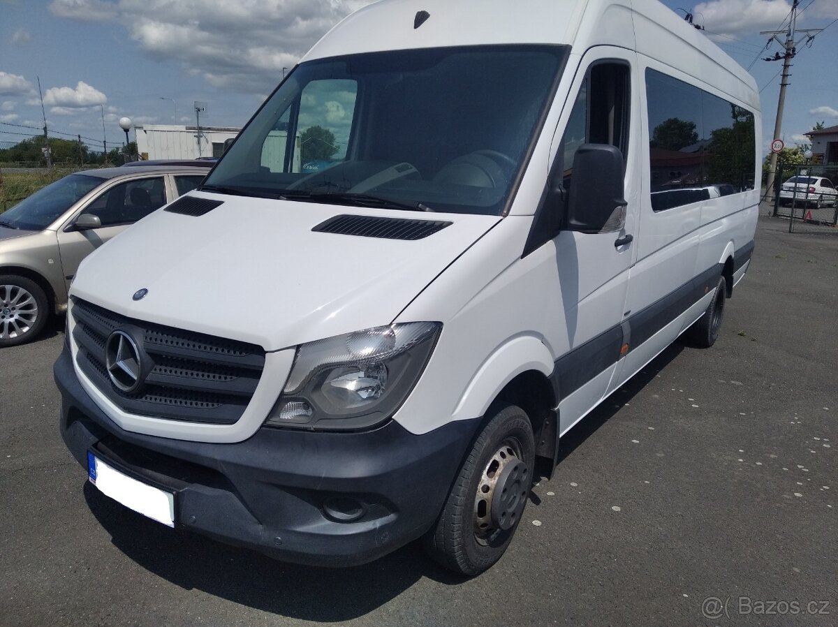 Mercedes-Benz Sprinter 513 Bluetec