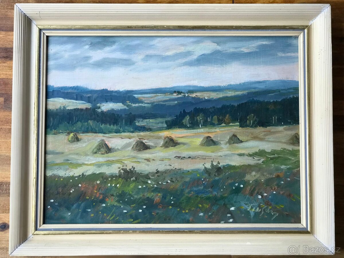 Obraz – Letní krajina
