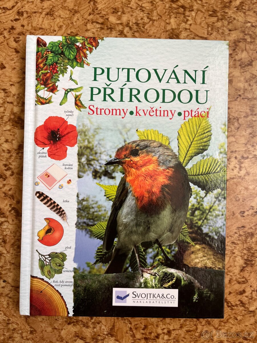 putování přírodou