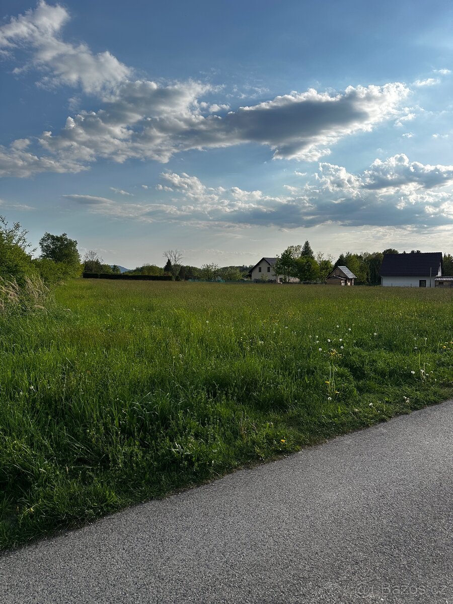 Pronájem pozemku 10300 m² Jizbice