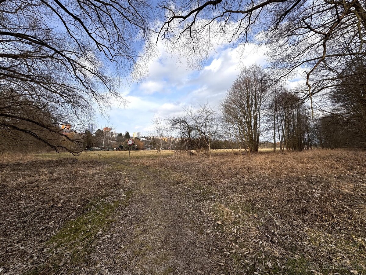 Prodej zemědělská půda, 30 073 m2 - Tachov, ev.č. 00025