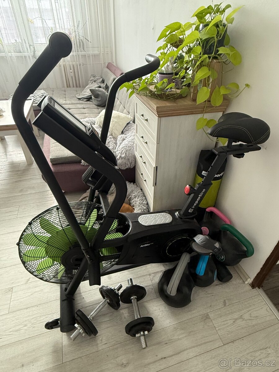 AirBike inSPORTline Lite