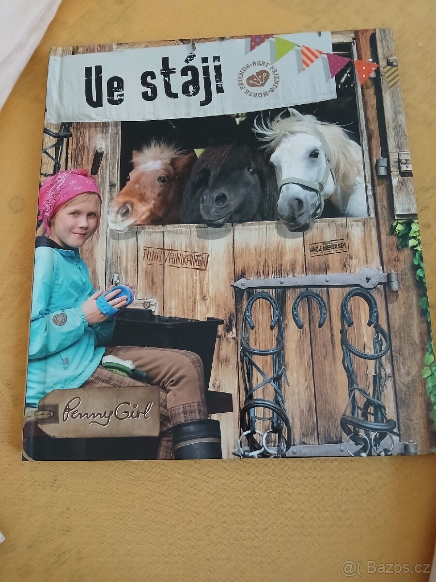 Ve stáji