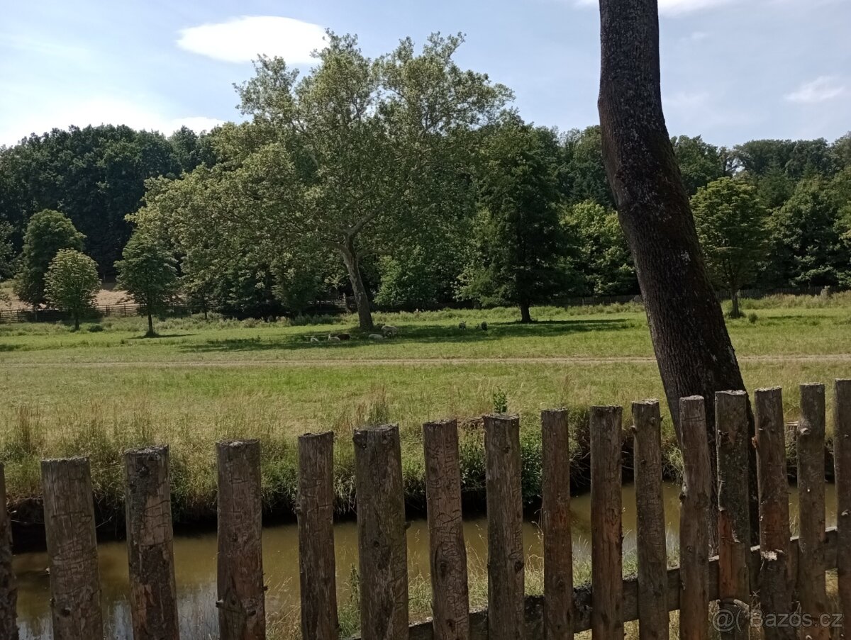 Příroda, farma, sad