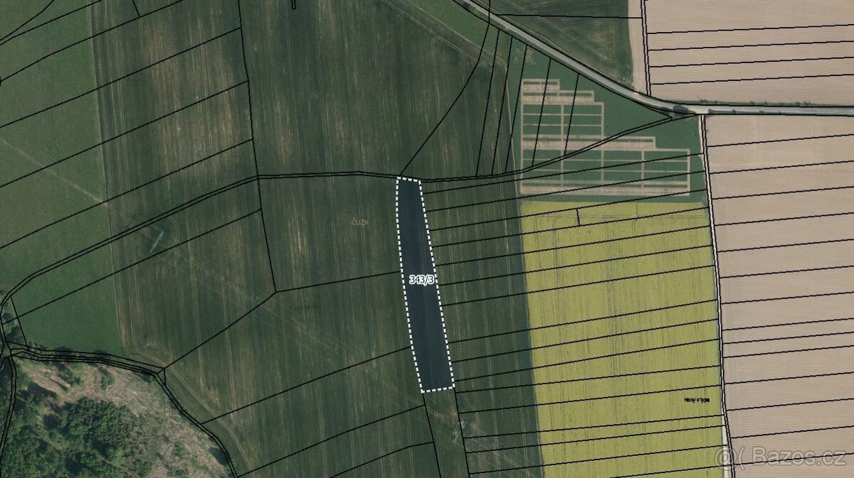 Zemědělská půda, prodej, Popovec, Řepníky, Ústí nad Orlicí