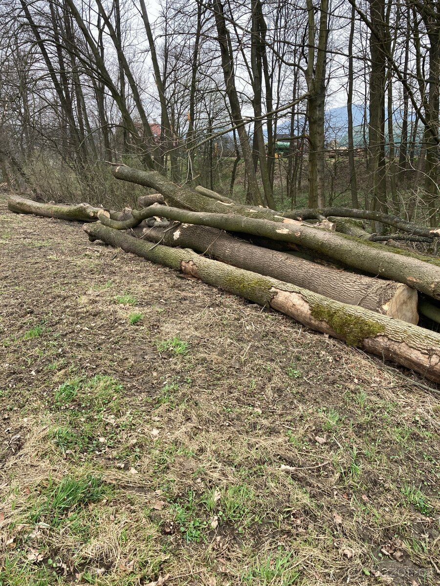 Dřevo na topení