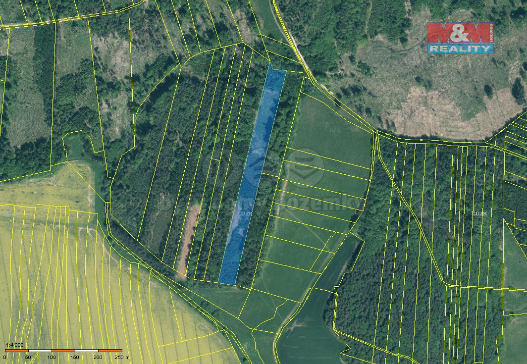 Prodej lesa, 17738 m², Jetětice