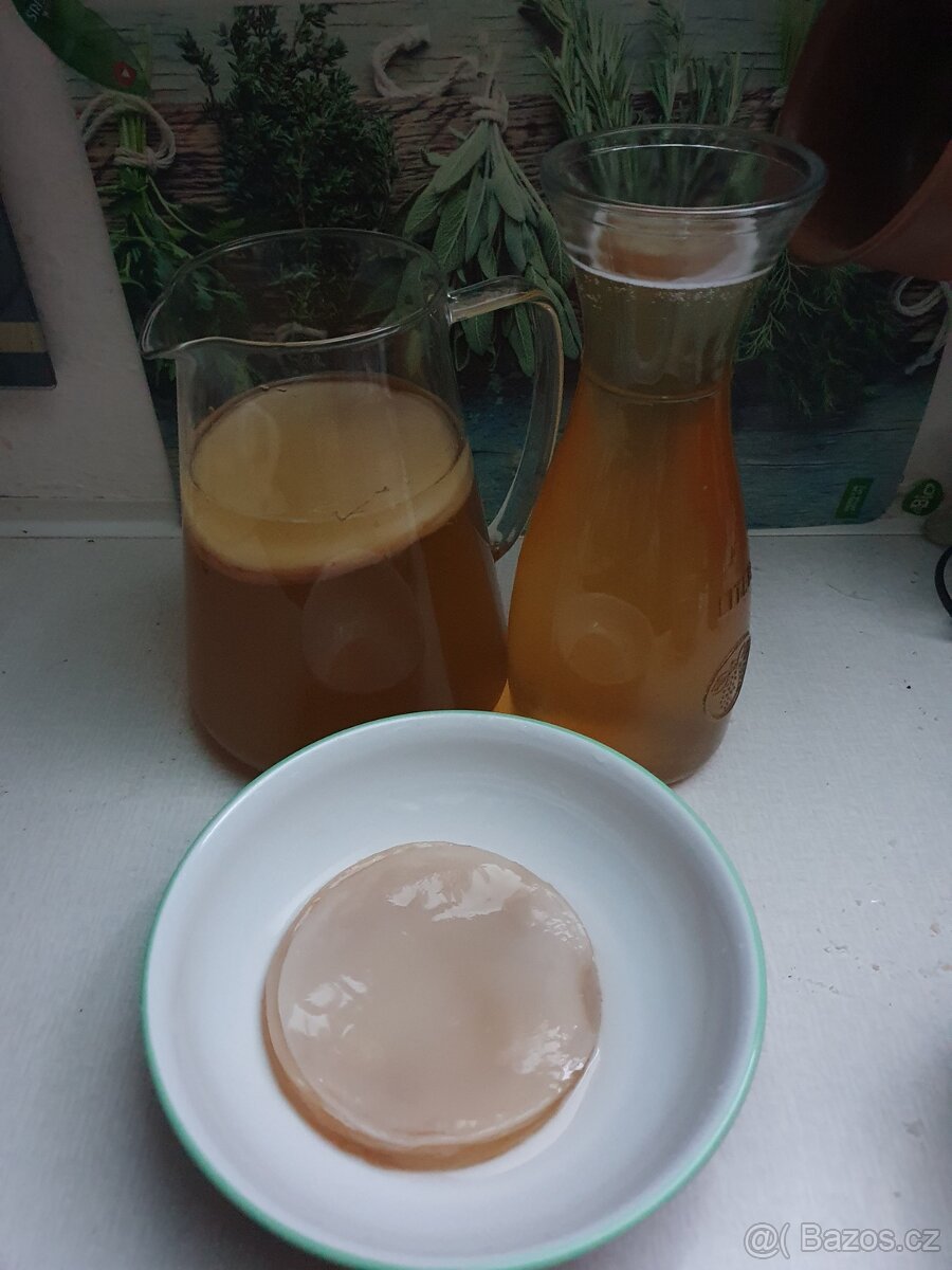 Kombucha