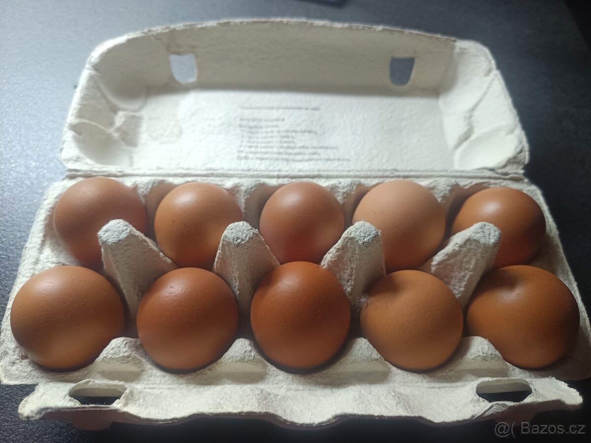 Domácí vejce