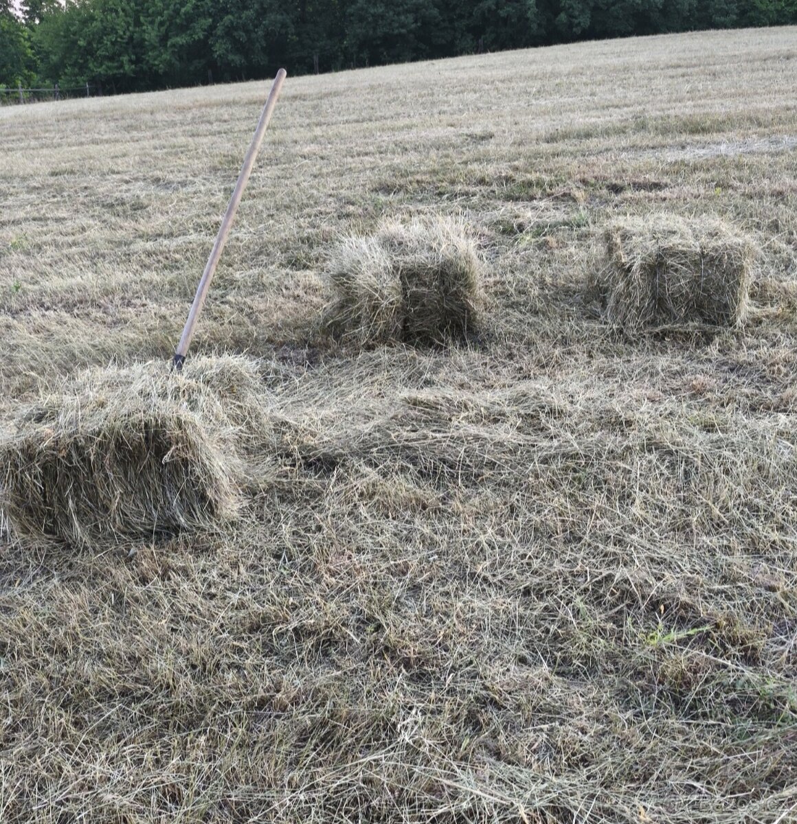 Prodám malé balíky sena