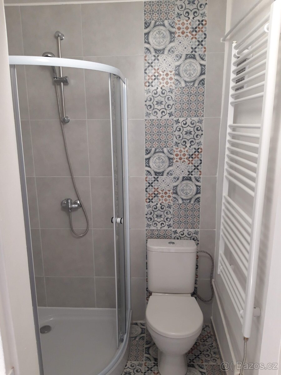 Pronájem bytu 1+1, Lom Loučná