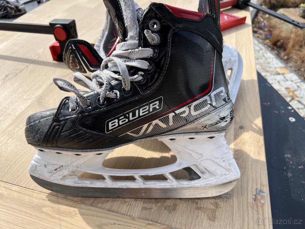 Brusle Bauer Vapor X3 / vel 6, FIT2