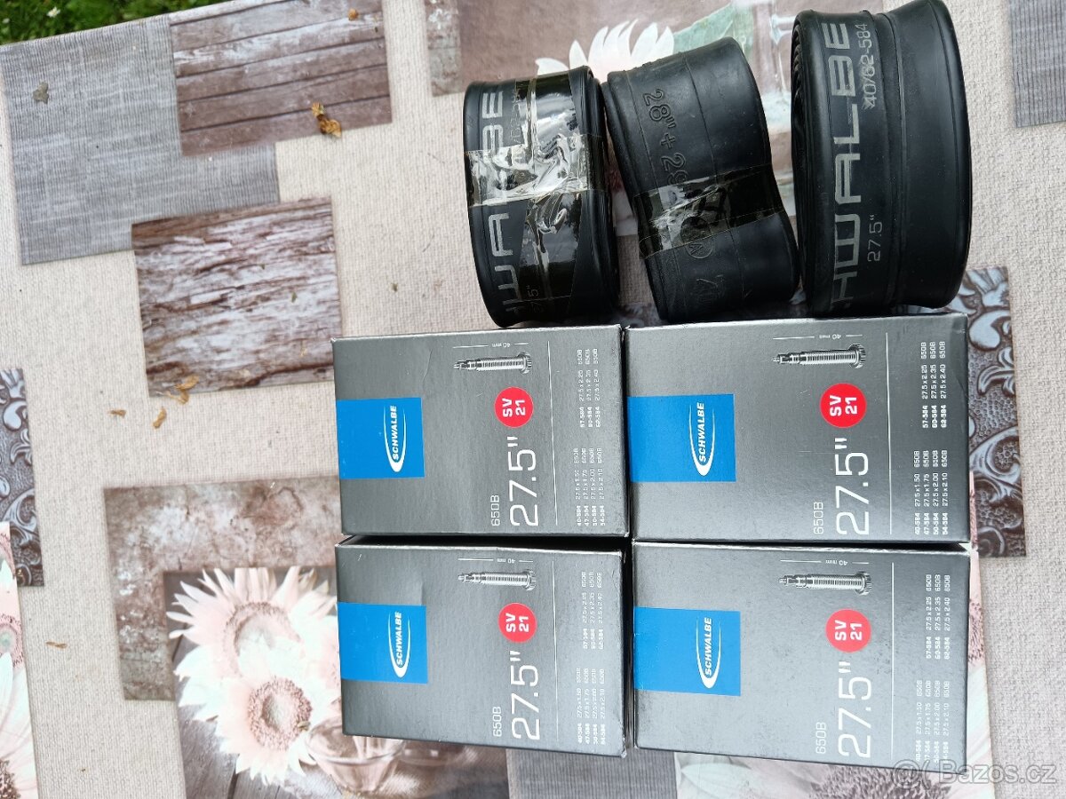 Duše Schwalbe 27, 5