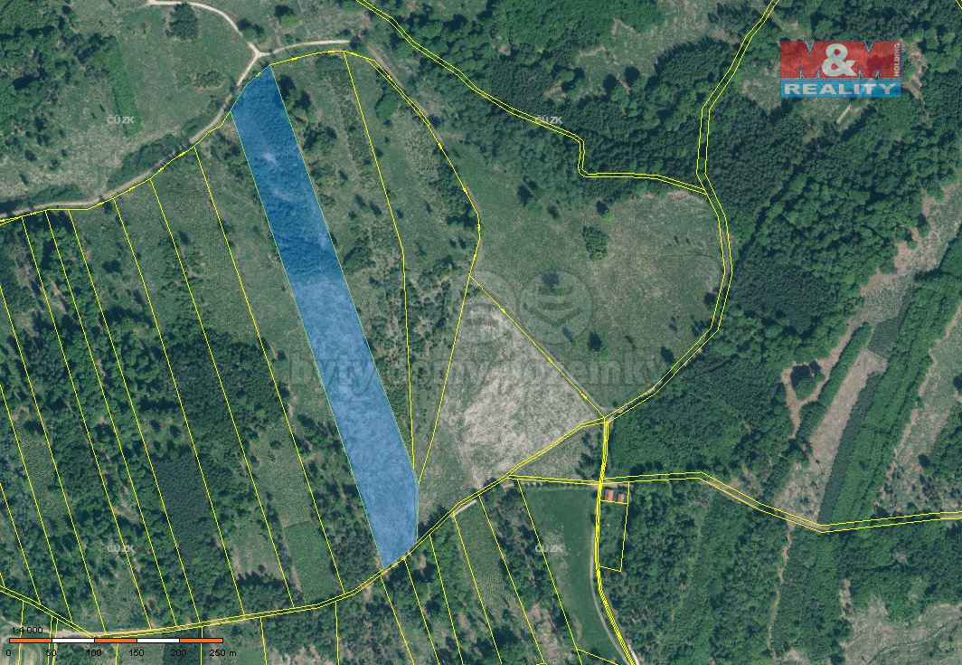 Prodej lesa, 36550 m², Jetětice