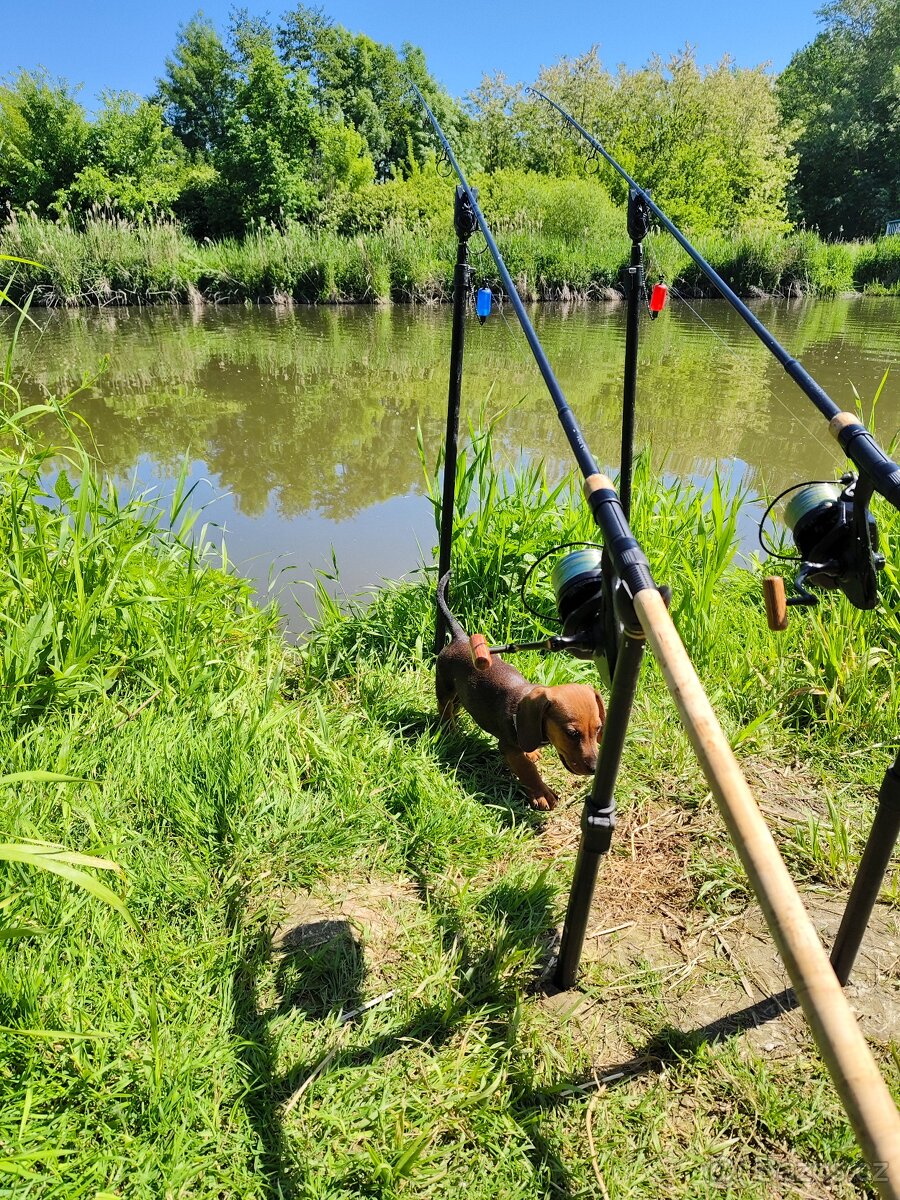 Pruty Nash dwarf 10 ft 2,75lb