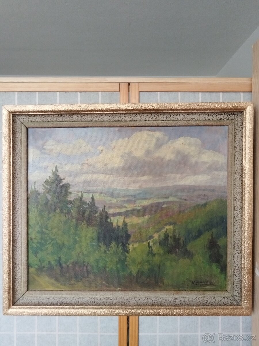 obraz - VÝHLED Z ŠIBENÍKU, olej, Vilém Topinka