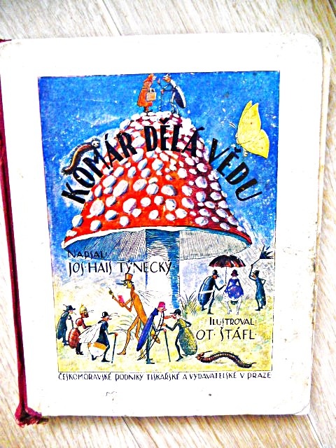 Stará kniha z roku 1929