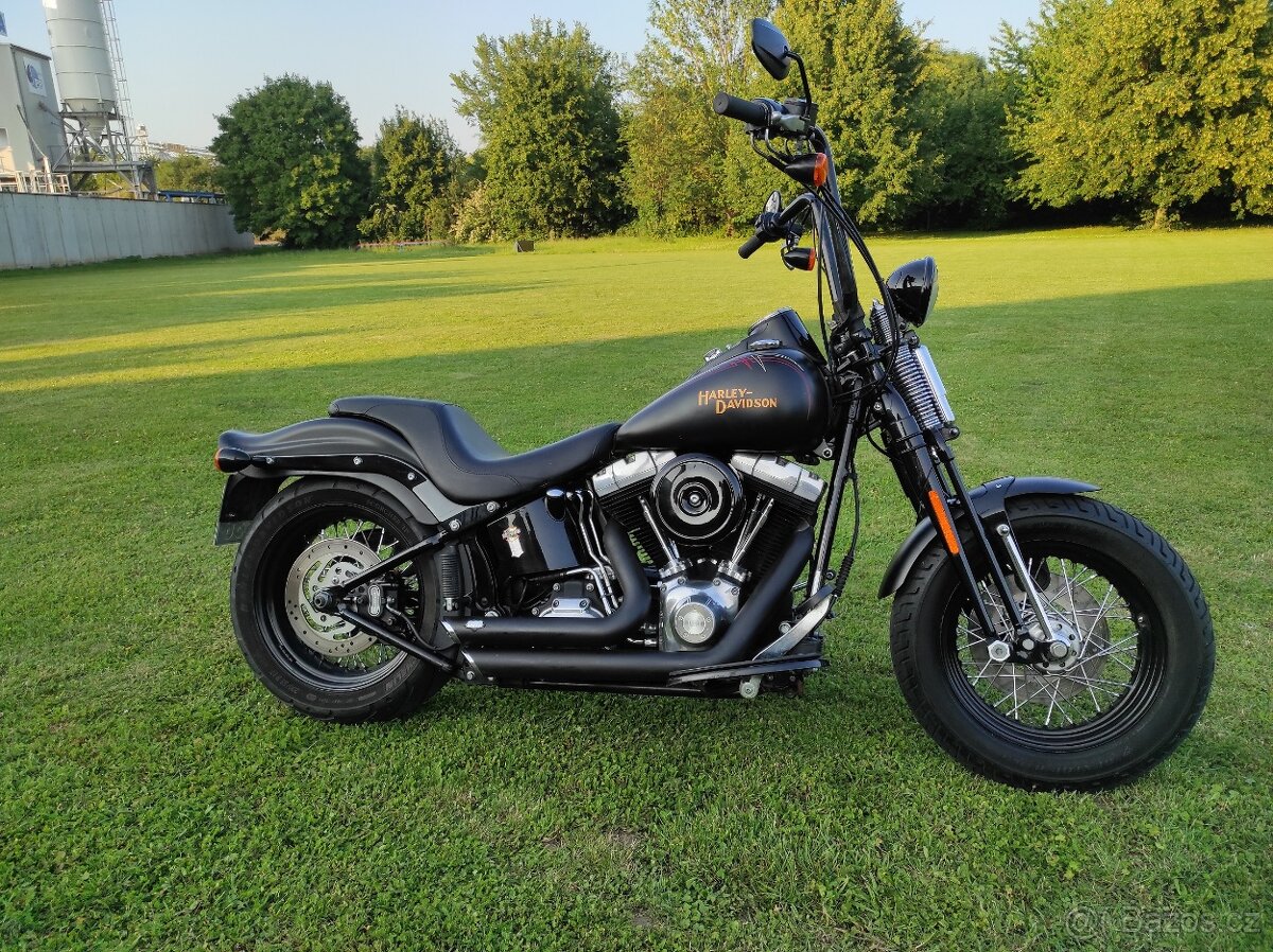 HARLEY DAVIDSON FLSTSB cross bones springer