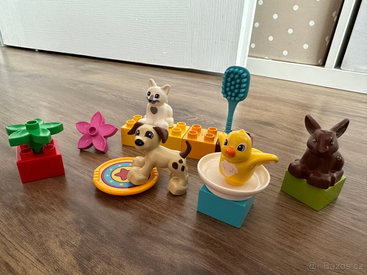 LEGO Duplo 10838 Domácí mazlíčci