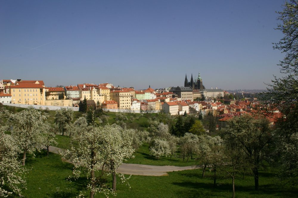 Prodej ubytovacího zařízení 900 m² Praha 6 - Břevnov