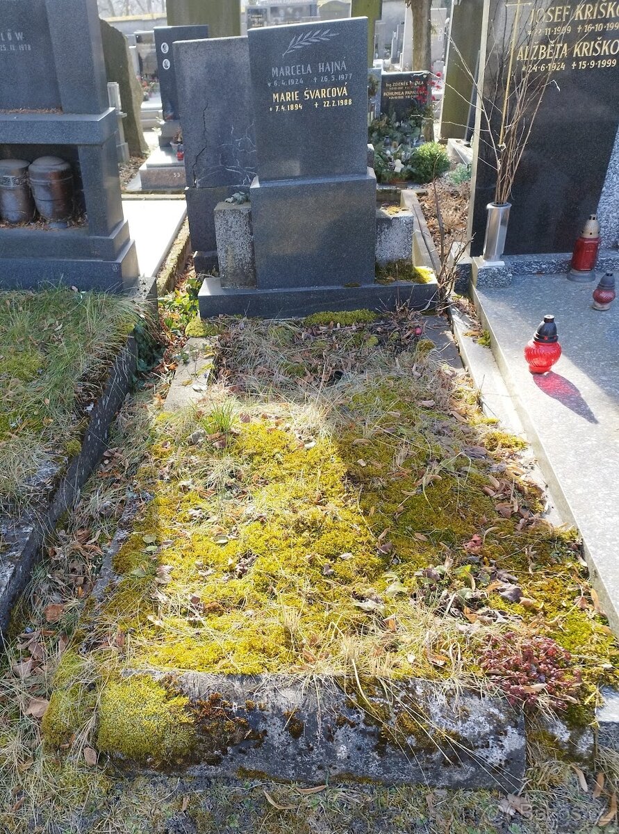 Přenechám hrobové místo hřbitov Kobylisy Praha 8