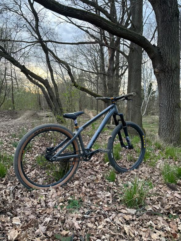 custom CTM dirtking