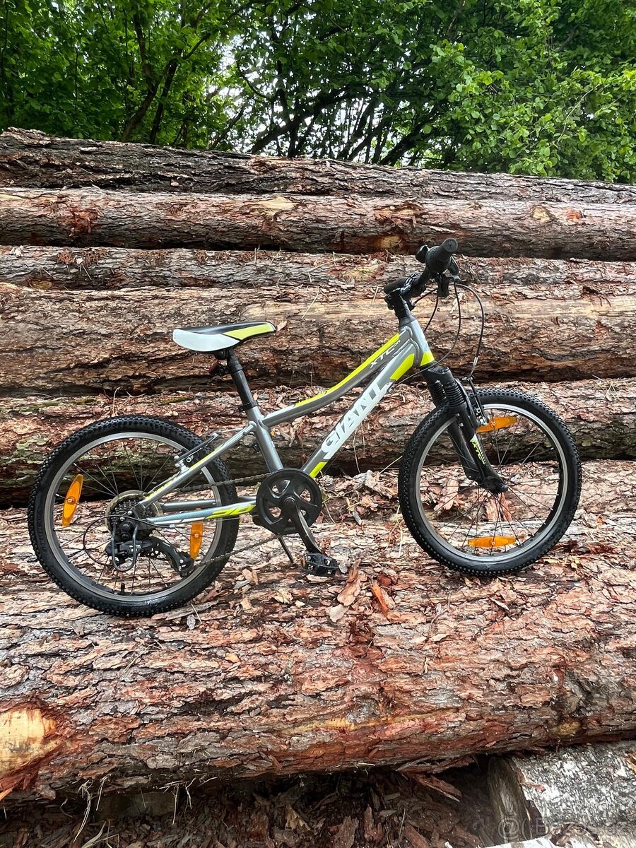 Giant