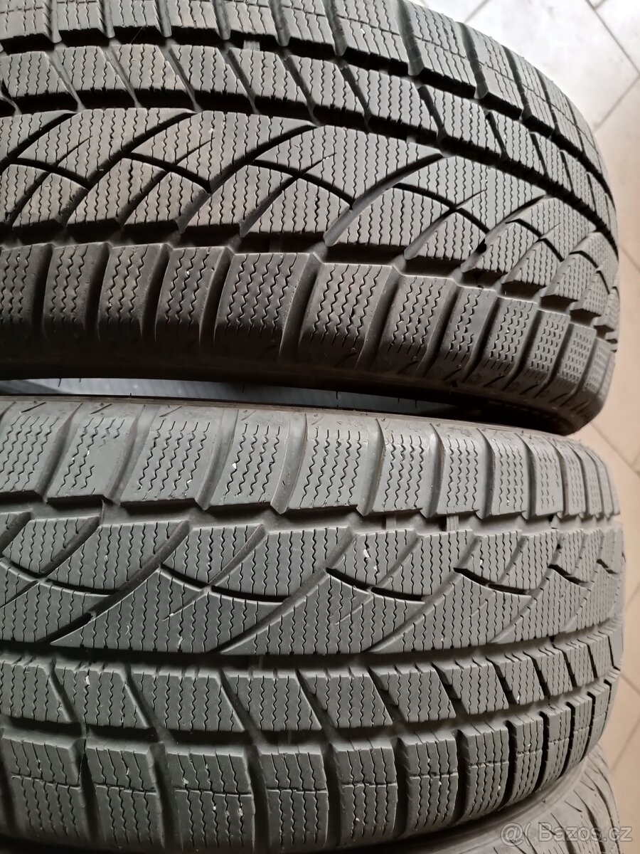 Zimní pneu 205/50R17 Evergreen Winter EW66