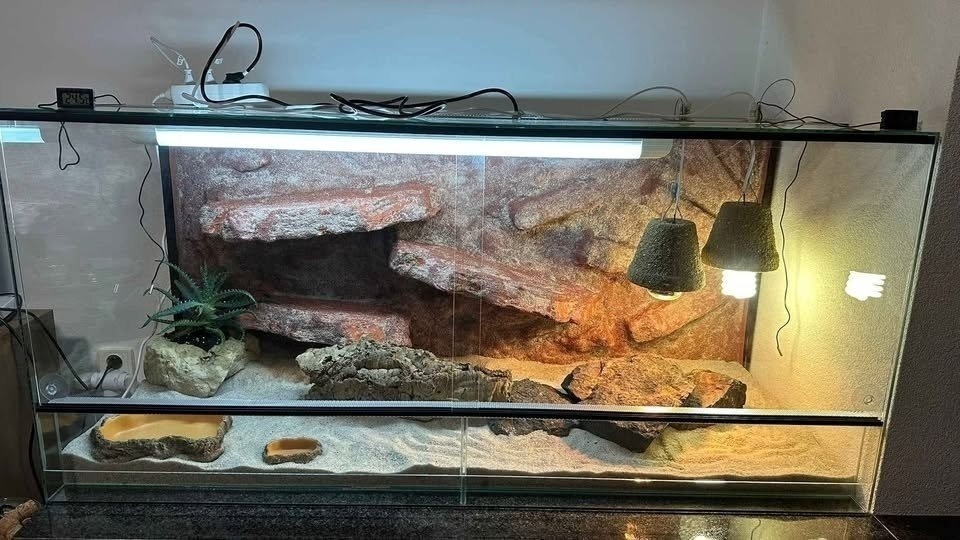 Skleněné terárium 100x40x40 cm s dekorativním pozadím