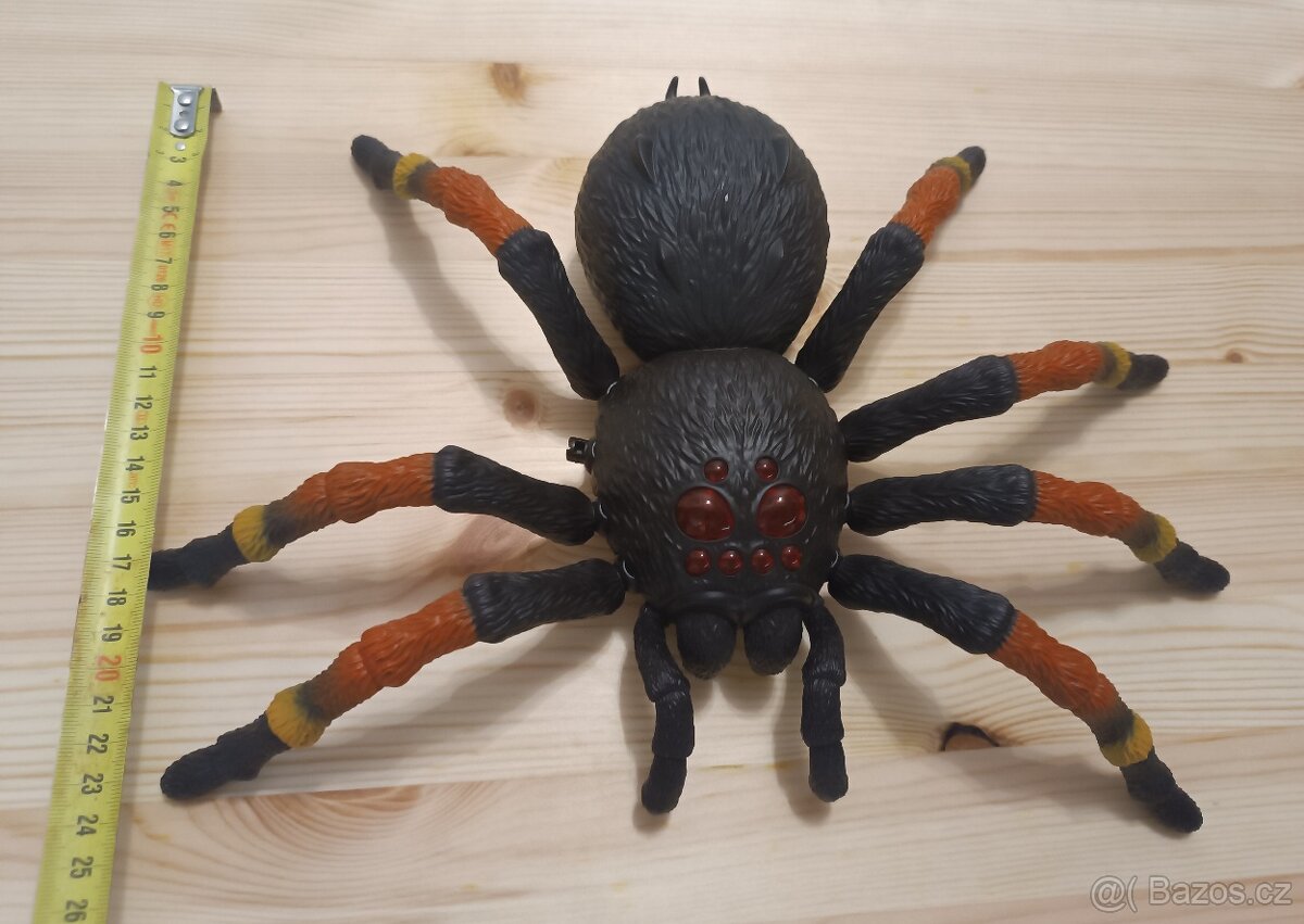 Maxi velký pavouk tarantule