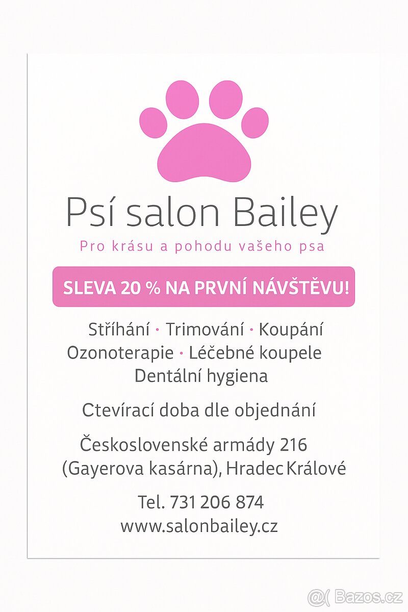 Nově otevřený psí salon v Hradci Králové