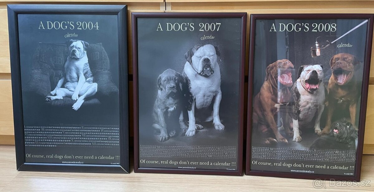 Foto Obrazy Antonín Malý s motivy psů 3 ks