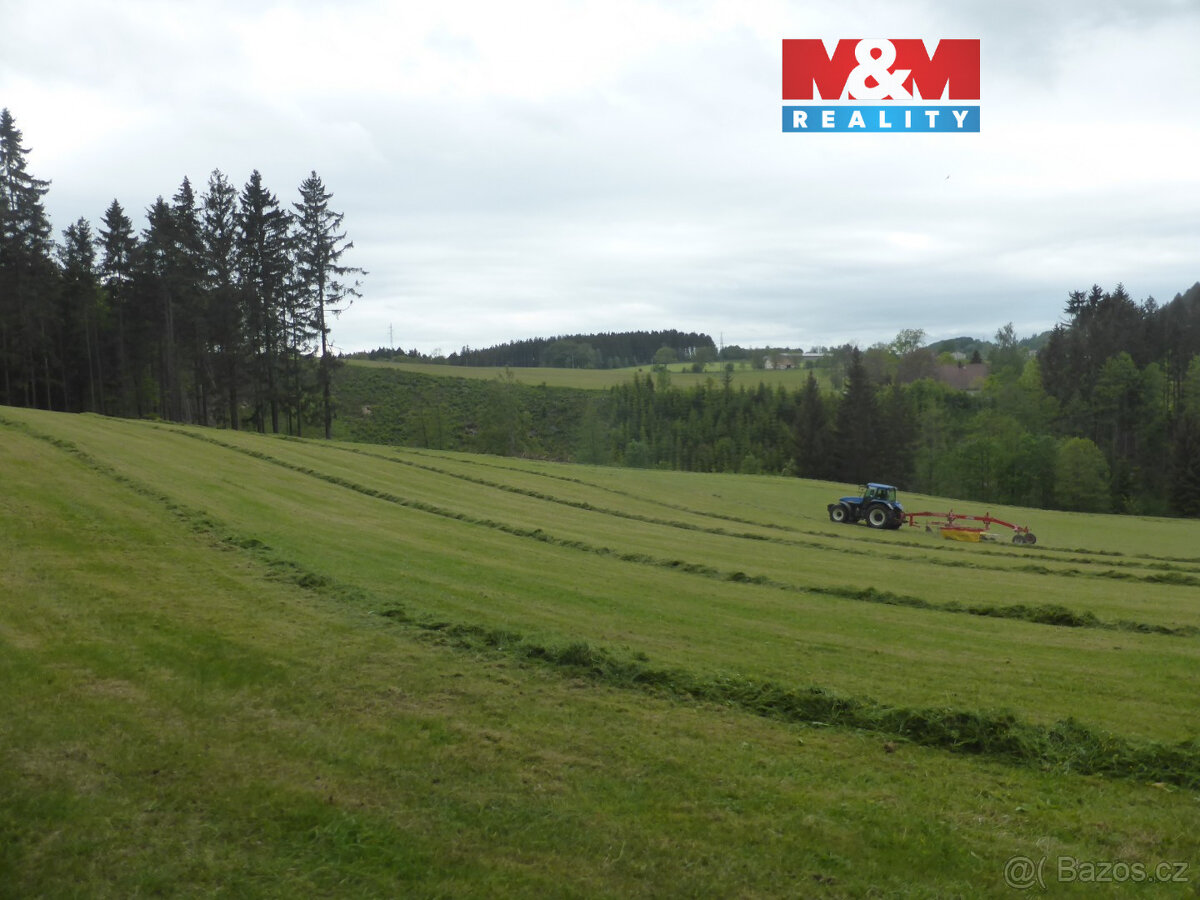 Prodej lesa, 26000 m², Vysoká Srbská, okres Náchod