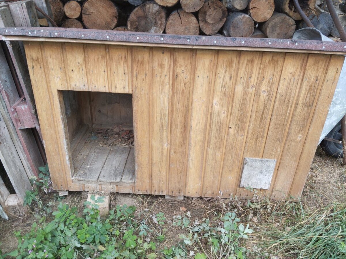 Daruji psí boudu
