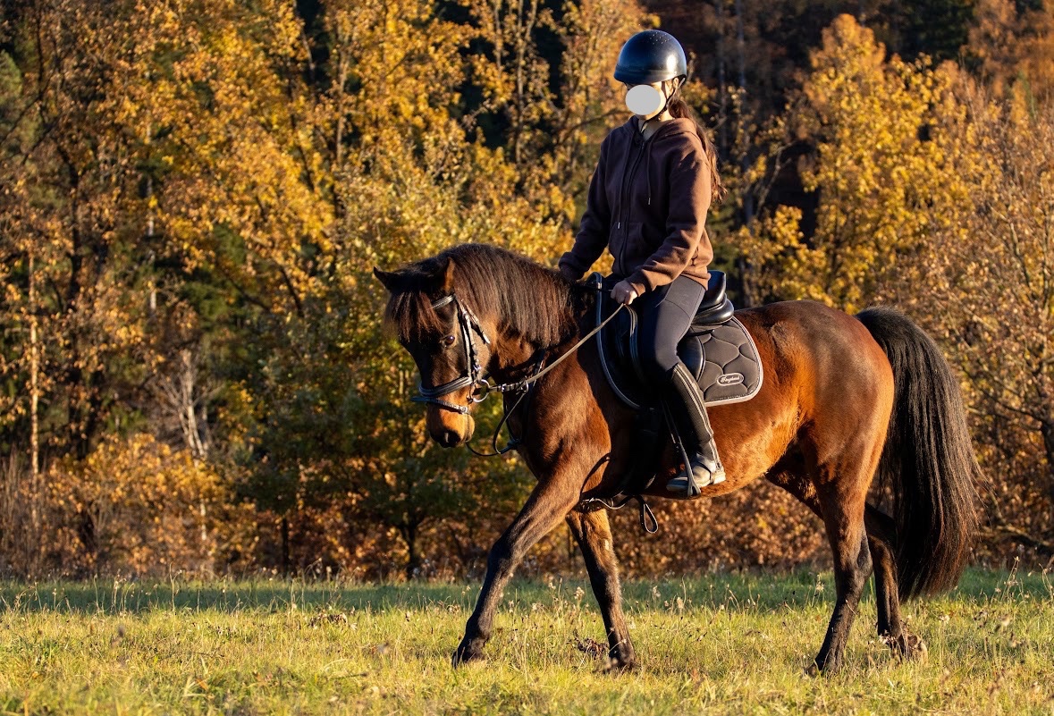 Sportovní pony klisna - kat. A