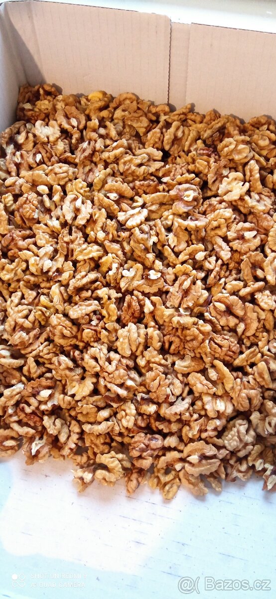 Vlašské ořechy vyloupané