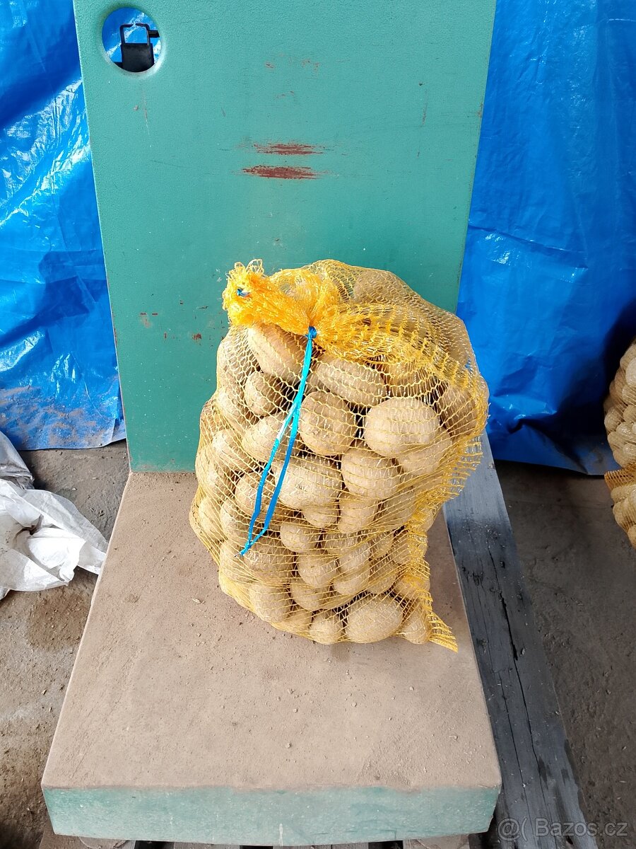 brambory na uskladnění adéla