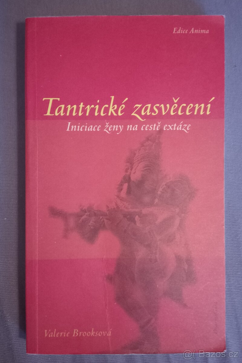 Valerie Brooks - Tantrické zasvěcení