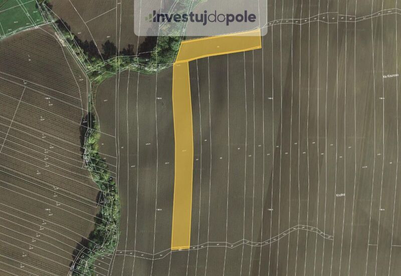 Prodej pole v k.ú. Mutějovice