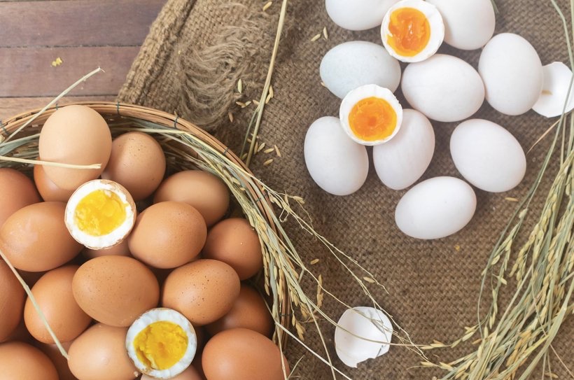 Domácí BIO vejce 🥚 🐓