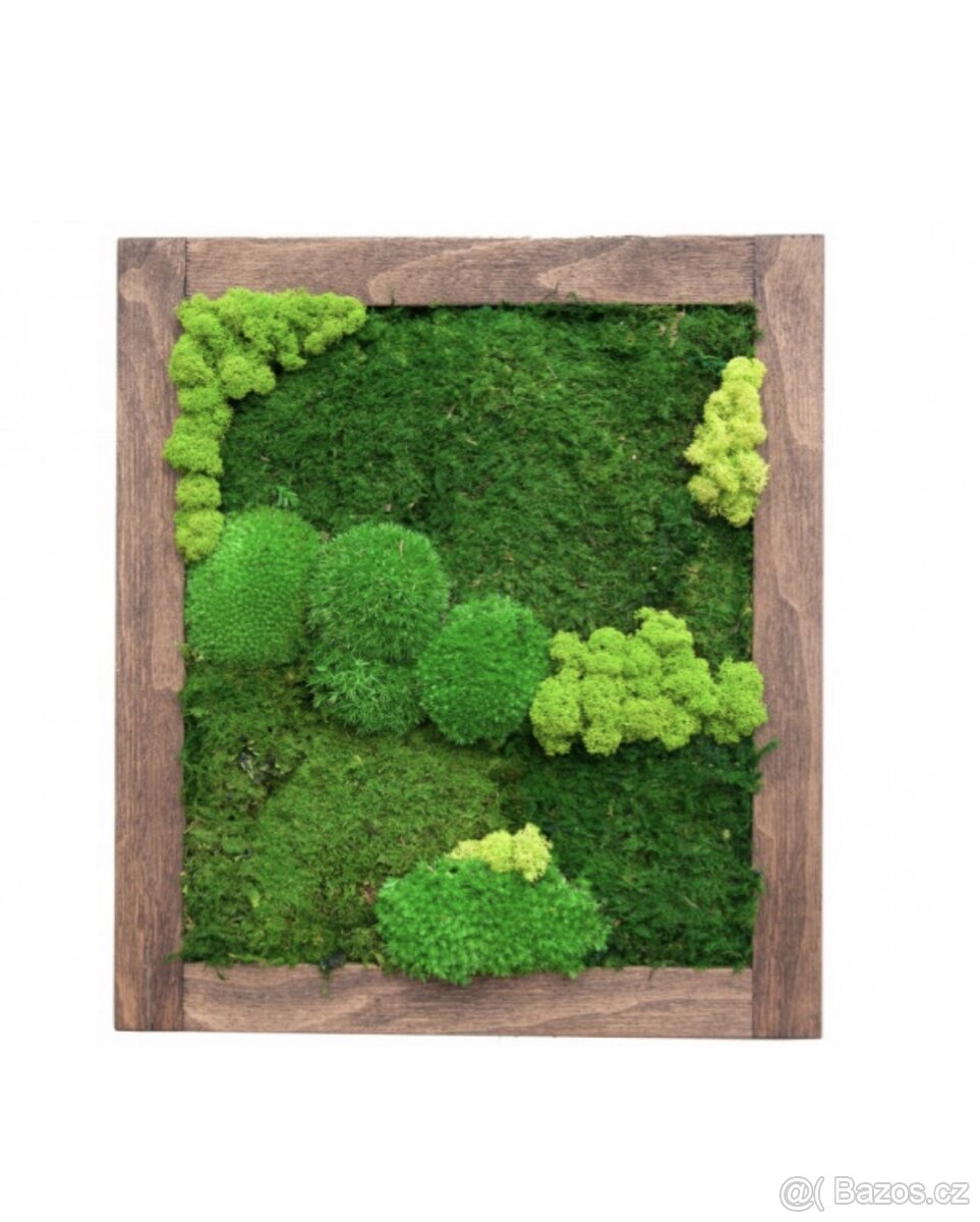 Mechový obraz v dřevěném rámu 45 x 40 cm